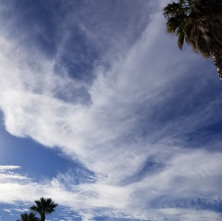 Photography by Amber Howard